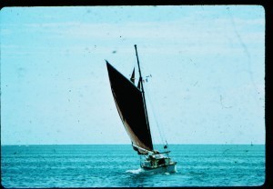 sailgaff