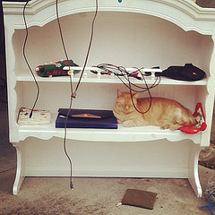 Free cat with this shelf. #yardsale