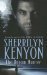 The Dream-Hunter (Dark-Hunter, #10) (Dream-Hunter, #1) by Sherrilyn Kenyon