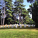 Netley War Graves Cemetry