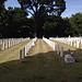 Netley War Graves Cemetry