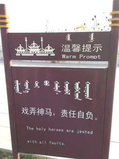照片