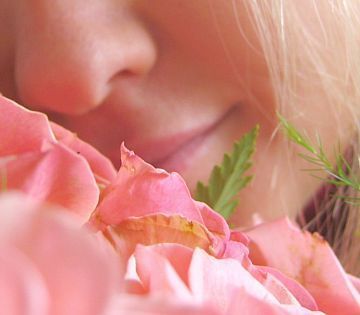 644885_smell_the_roses