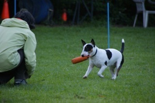 DSC08597 (600 x 399)