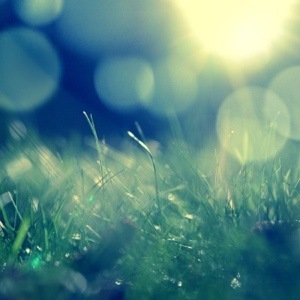 20130528-091647.jpg