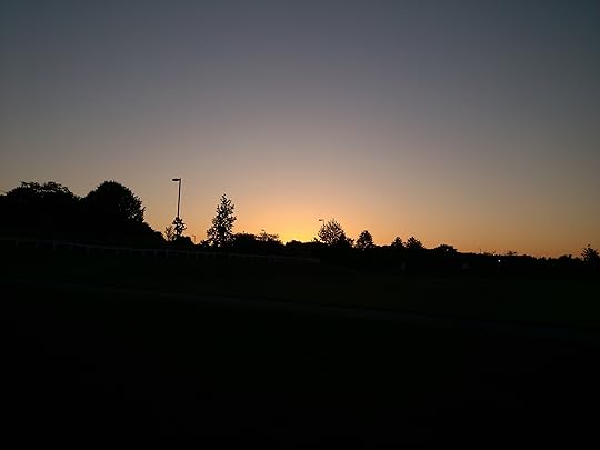 sun rising above trees