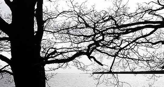 Fractal branches, Hjö