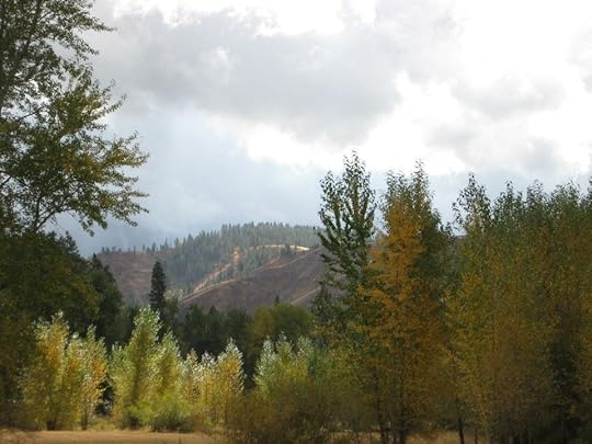 20121017-114821.jpg