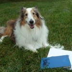 2013-09-17 12.57.27 (640x480) (640x480)