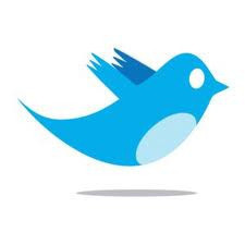 Twitter Bird logo