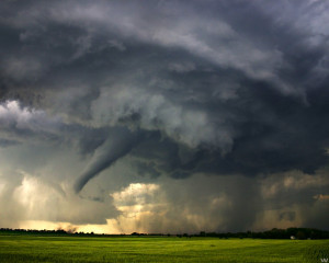 wallpaper_storm_animaatjes-24[1]