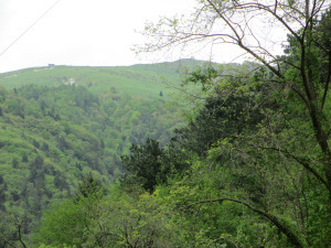 Valle San Liberale 012