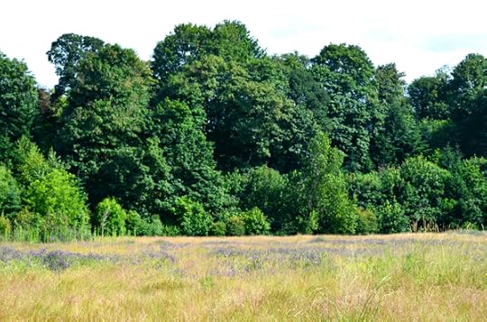 An urban hike through Oaks Bottom Wildlife Refuge