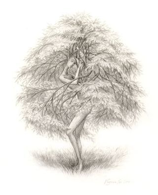 The Capture by Virginia Lee
