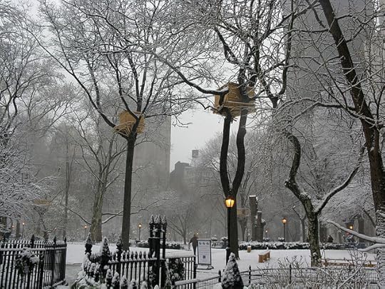 Tree Huts in winter, NYC