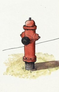 2013-07-18hydrantC