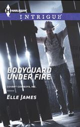 ejbodyguard