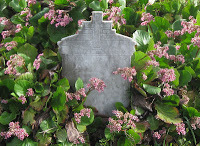 gravestone