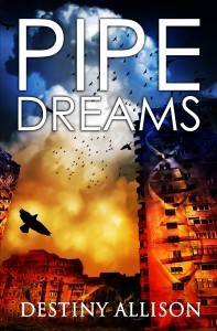Destiny Allison Book Cover