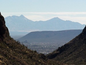 Tucson Mountain Park