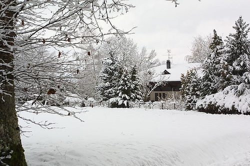 Eco-Benefits of Staying Home in the Winter