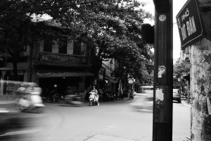 DSC_0350