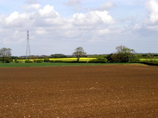The flatness of Holderness
