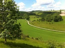 The Wolds