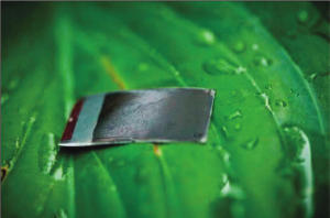 Artificial Leaf