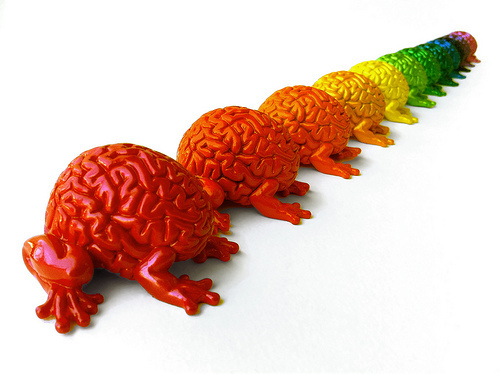 BRAIN HUE Collection by Emilio Garcia