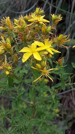 2012-06-29_15-06-43_992