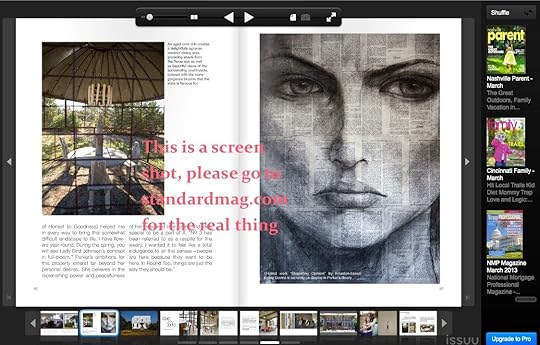 This is what the Standard magazine interface looks like. 
