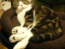 $���������������������������������������������������������