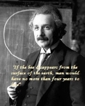 b2130430a700ef5e8bd68df02961f5f1