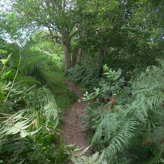 Path 1