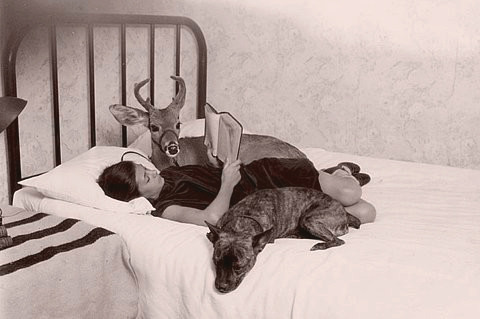 Old photograph, provenance unknown
