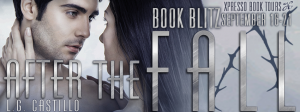 AfterTheFallBlitzBanner1