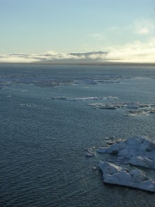 RFEandWrangel2005 1049
