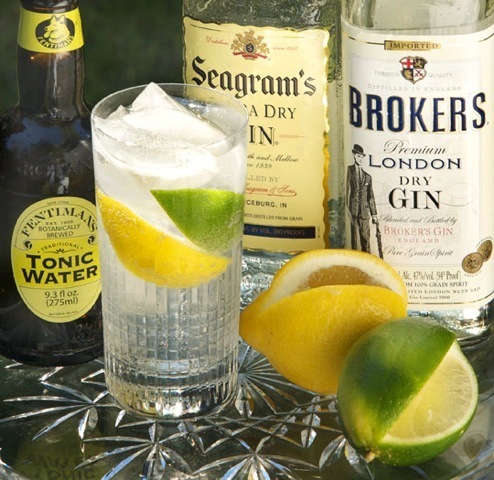 Another glass of gin and tonic please. Photo by Donna Turner Ruhlman.