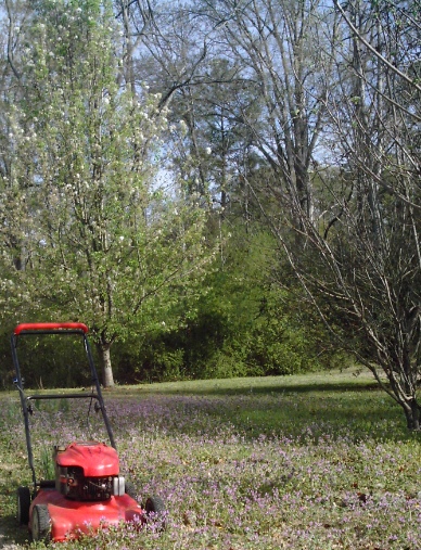 mower2