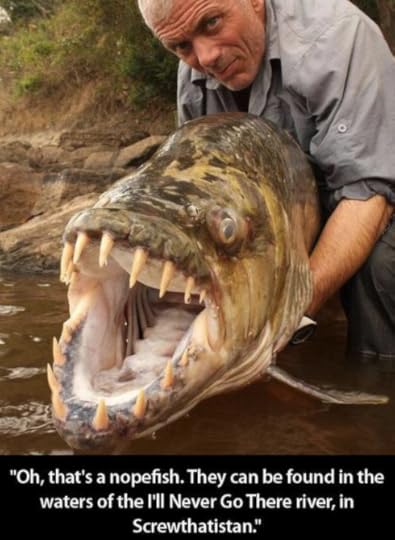 Click to visit the original post