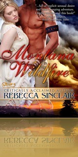 Montana Wildfire - Rebecca Sinclair