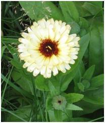 Click to visit the original post