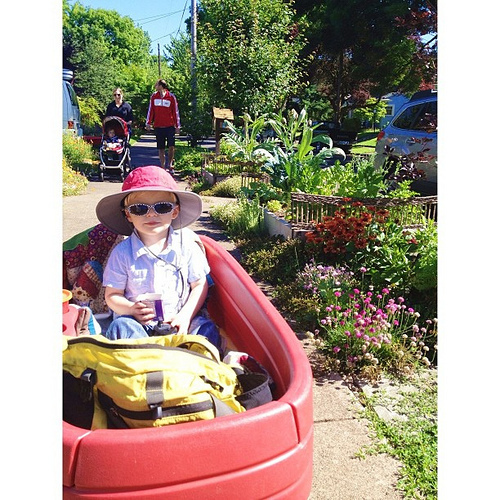 View from our yard! Do you see the artichokes growing?Whoa. On our way to the market. Happy Saturday everyone!