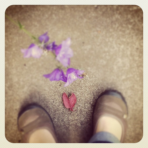 Heart found in morning walk. Love this one.
