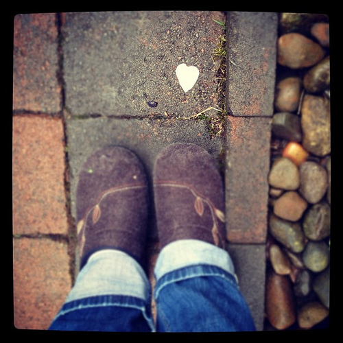 Flower petal heart found moments ago. For you.