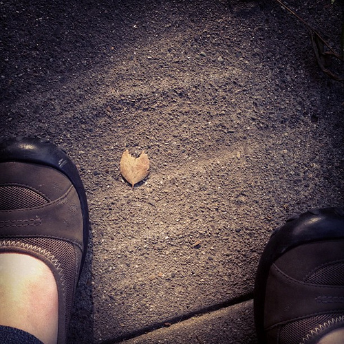 Tiniest little heart found on sidewalk. I'll take it;)