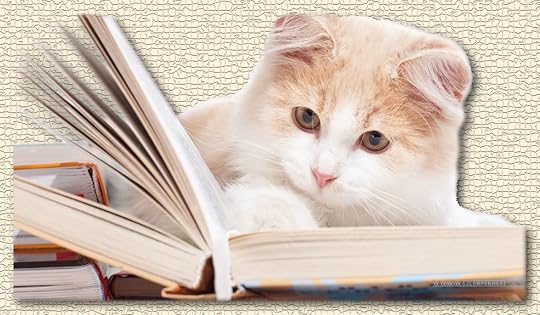 Cat_reading_book