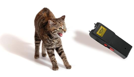 Cat_and_Stun_Gun_v2_1000px_wide