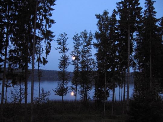 Raasepori-MoonLohja-summer2013 032